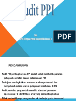 Audit Ppi