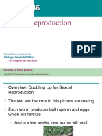 46-reproduction text.ppt
