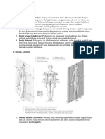 istilah-istilah anatomi.docx