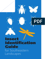 InsectID Guide PDF