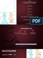 Glucolisis.pptx Jeje Salu2