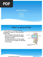 Spina Bifida: Saba Ramzan Nadia Shoukat Laraib Yasin Anam Waris