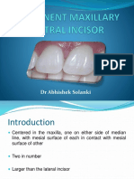 Maxillary Central Incisor Overview | PDF | Dental Anatomy | Dentistry