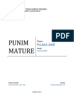 Pllaka Amë PDF
