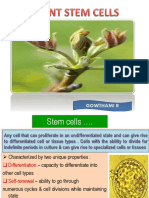 Gow Plant Stem Cells 