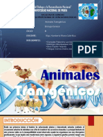 Animales Transgénicos