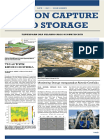 Carbon Capture and Storage