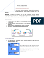 Topic 2.5 Enzymes: U.1. Enzymes Have An Active Site To Which Specific Substrates Bind