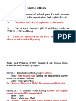 Cattle Breeds Classification