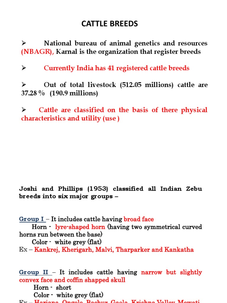 Cattle Breeds Classification PDF Bovines Livestock
