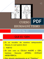 Problemas Hepaticos Biomagnetismo Modulo 