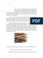 Albire Dentara PDF