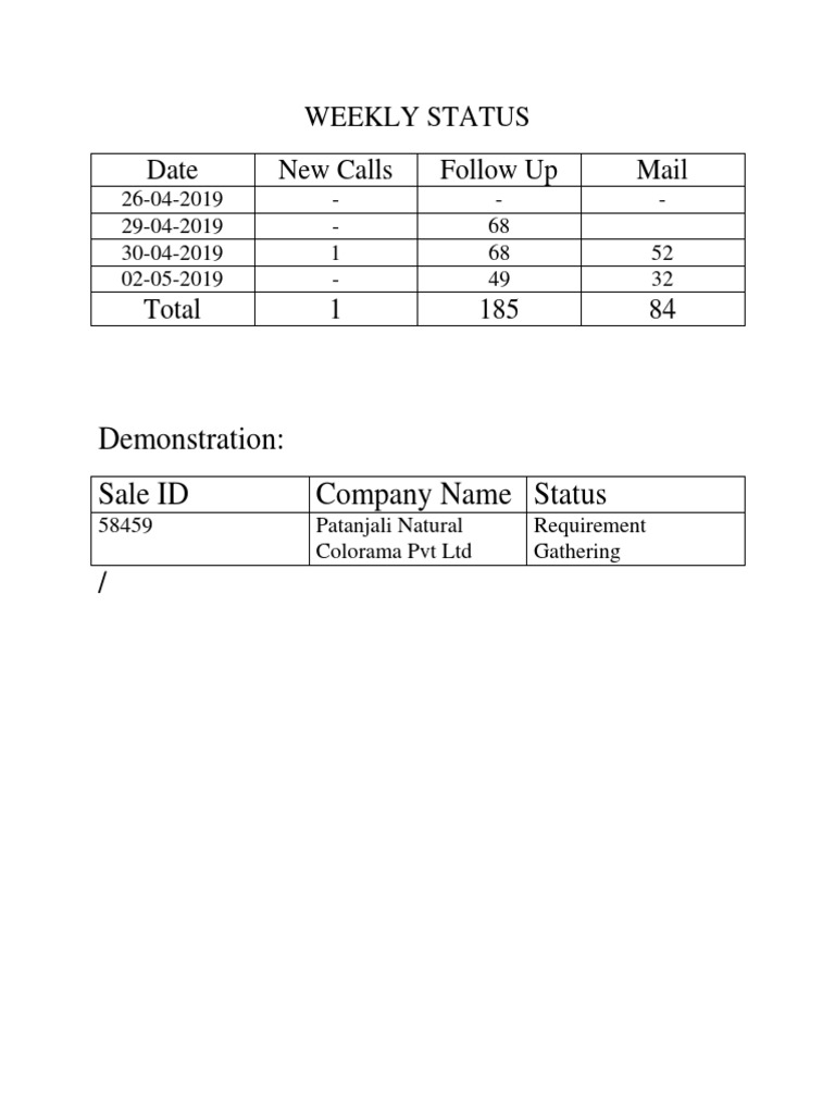 Weekly Status Report on Calls and Sales | PDF
