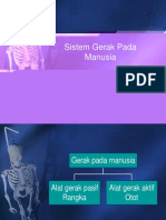 sistem-gerak-pada-manusia.ppt