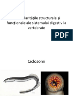 Particularitatile Sistemului Digestiv La Vertebrate