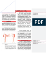 Dissecção.docx