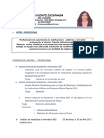 Cv. Jheny Ccente Zuzunaga PDF