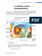 Fosa pterigopalatinas anatomia.pdf