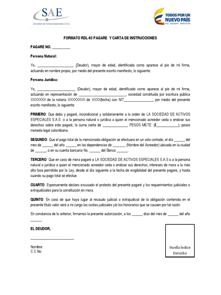 Ejemplo De Un Pagare Ejemplo Pagare Carta de Instrucciones | PDF | Pagos | Justicia