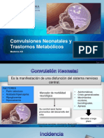 Convulsiones Neonatales