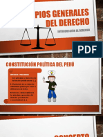 Principios Generales Del Derecho