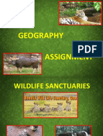 Geography Assignment