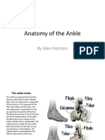 Anatomy of The Ankle