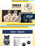Cães - EN034