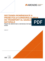 Secţiunea românească a proiectului 