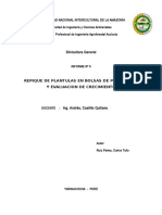 Informe Vivero 05