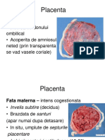 Placenta