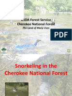 Cherokee National Forest Service Snorkeling