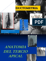 5toTercioApical Conducto PDF