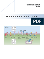 Bc05 - Membrana Celular