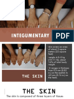 Integumentary System: Skin, Hair, Nails & Glands