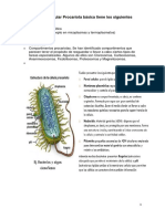 La Estructura Celular Procariota Básica Tiene Los Siguientes Componentes