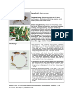 Lalat Buah HHPT PDF