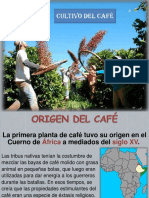 00.1. Cultivo Del Café