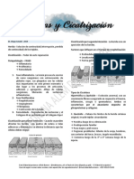 Patología Quirúrgica - Heridas y Cicatrización