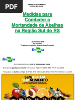 Medidas para Combater a Mortandade de Abelhas na Região Sul do RS