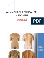 3.6 Anatomia Superfical Del Abdomen