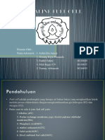 Alkaline Fuel Cell