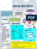 Infografia Fisiopatología Del Shock Séptico