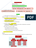 CARBOHIDRATOS