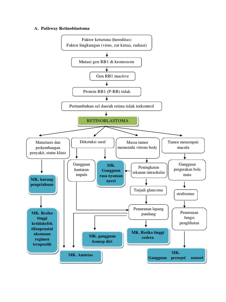 Pathway Retinoblastoma | PDF