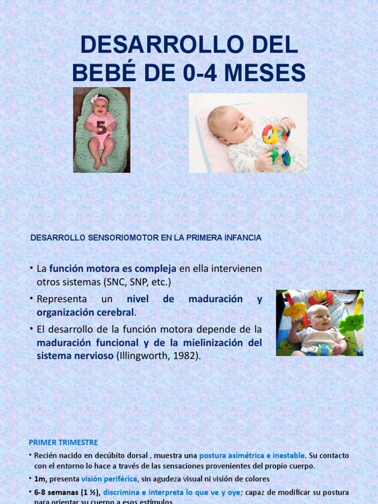 Desarrollo Del Bebe De 0 4 Meses Pdf Mano Percepcion Visual