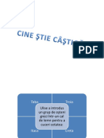 Cine Stie Castiga