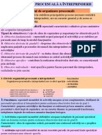 3 - Organizare - Procesuala