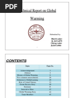 Technical Report On Global Warming: Submitted by