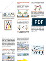 Triptico Genética de Población